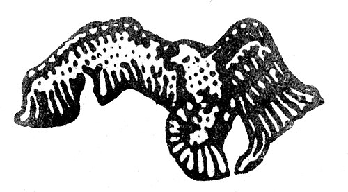 Logo of Ba'ath Party (Iraq)