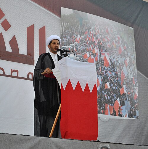 Portrait of Ali Salman