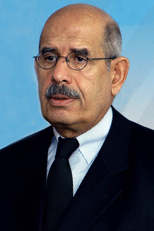 Portrait of Mohamed ElBaradei