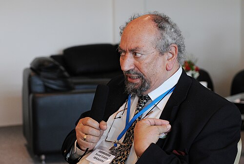 Portrait of Saad Eddin Ibrahim